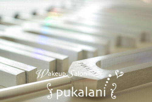CELLebration_500px-WakeupSalon